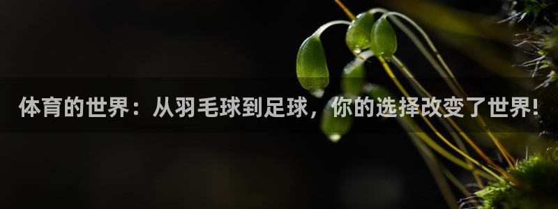 3377体育官方正版app官方:体育的世界:从羽毛球到足球,