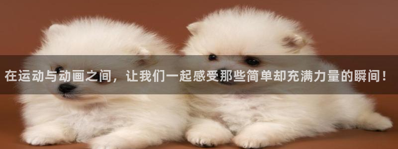 3377体育官方正版app集团:在运动与动画之间,让我们一起